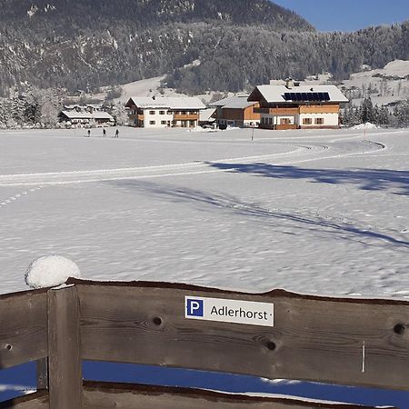 Ferienwohnung Adlerhorst Im Haus Lohrey ไรท์อิมวิงเคอ ภายนอก รูปภาพ