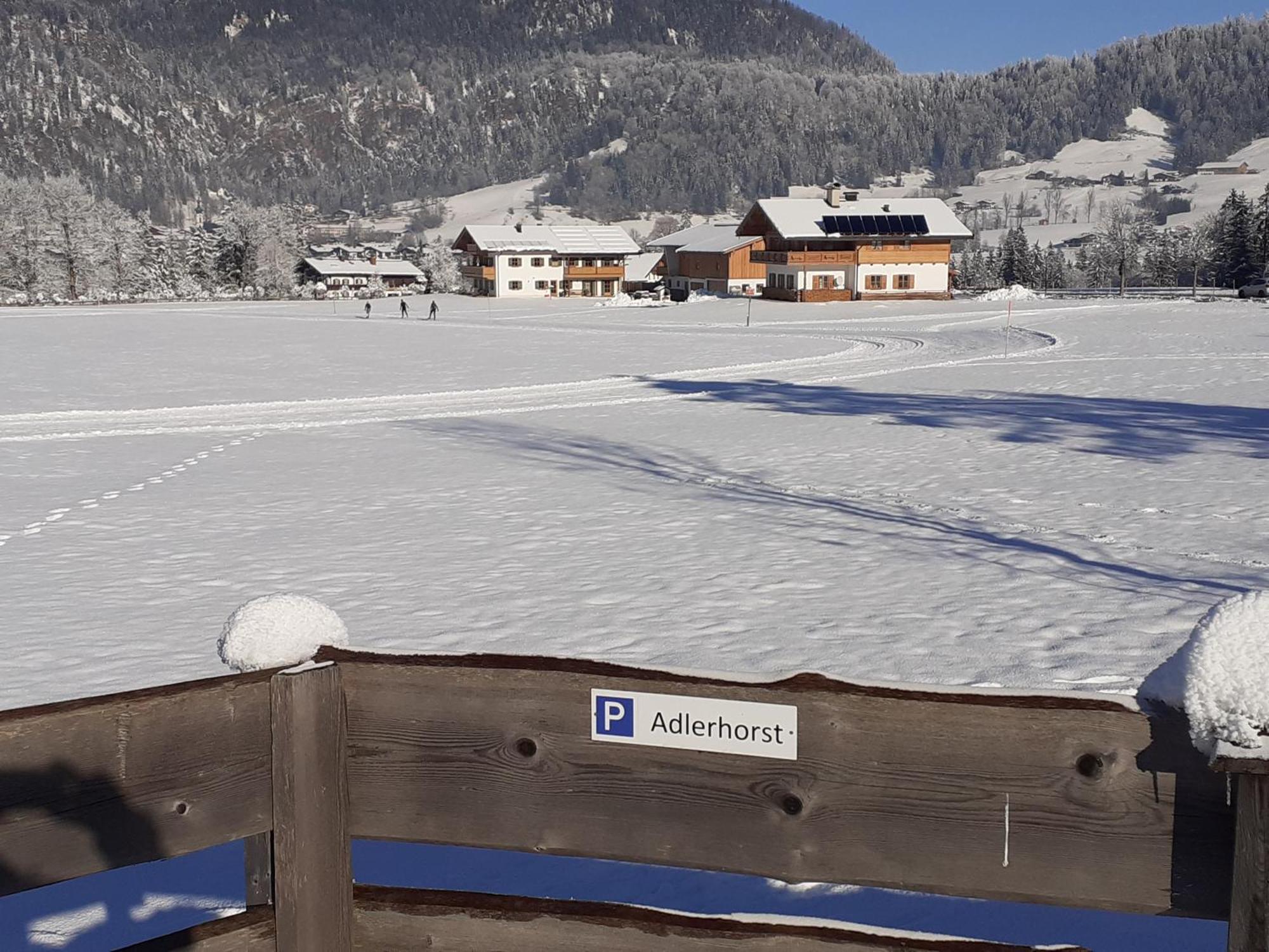 Ferienwohnung Adlerhorst Im Haus Lohrey ไรท์อิมวิงเคอ ภายนอก รูปภาพ